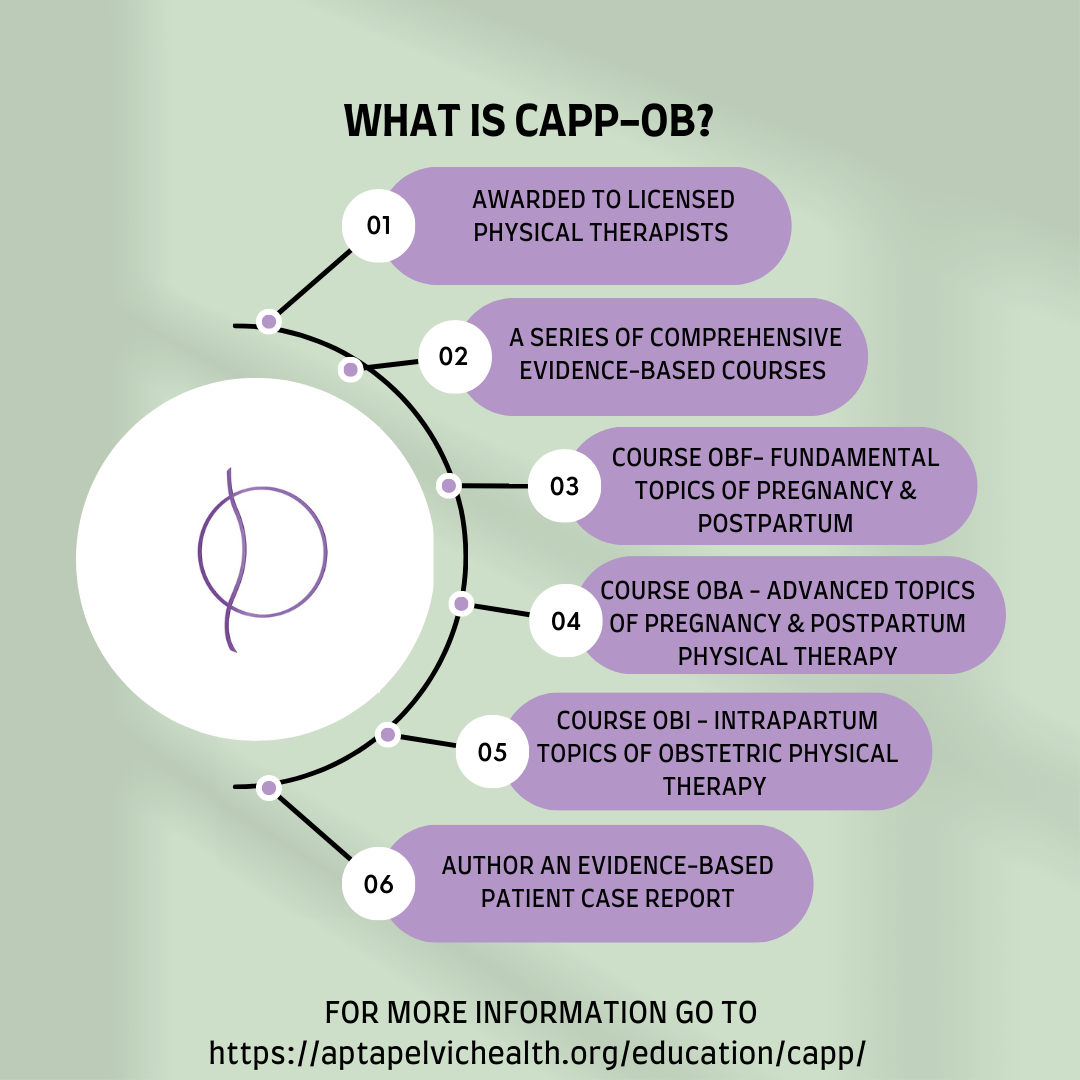What is CAPP-OB?